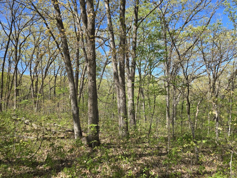 Listing photo 48